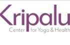 The Functional Shoulder: For Yoga Movement and Beyone The Functional Shoulder training